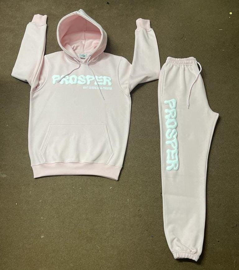 PINK PROSPER *HOODIE  ONLY*